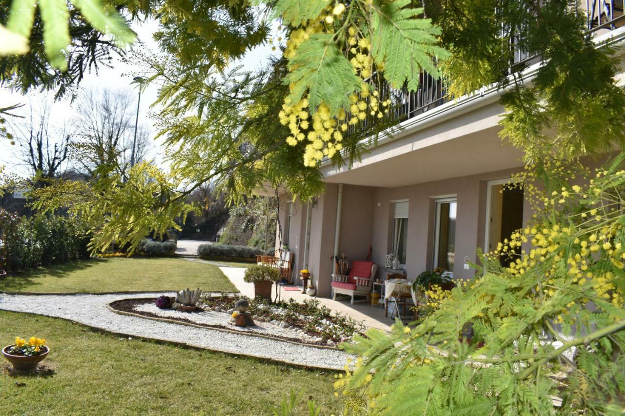 Aparthotel Mimosa